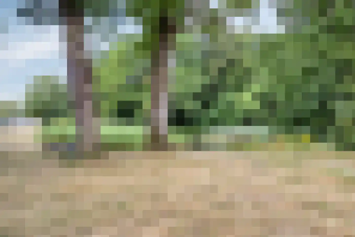 Arnhemsestraatweg 47 Velp thumbnail 36