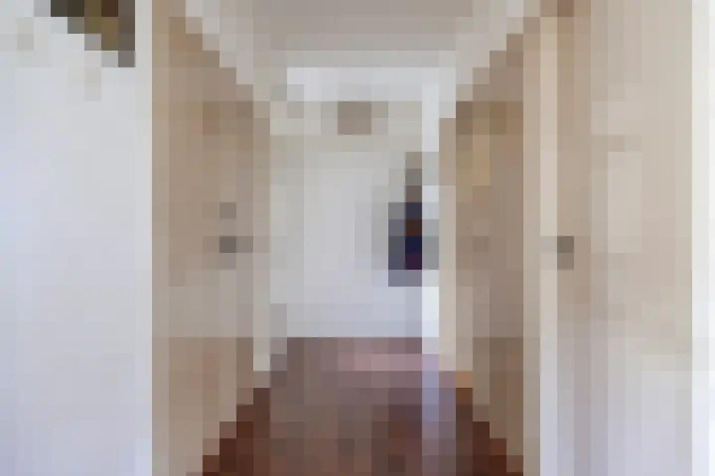 Arnhemsestraatweg 47 Velp thumbnail 8