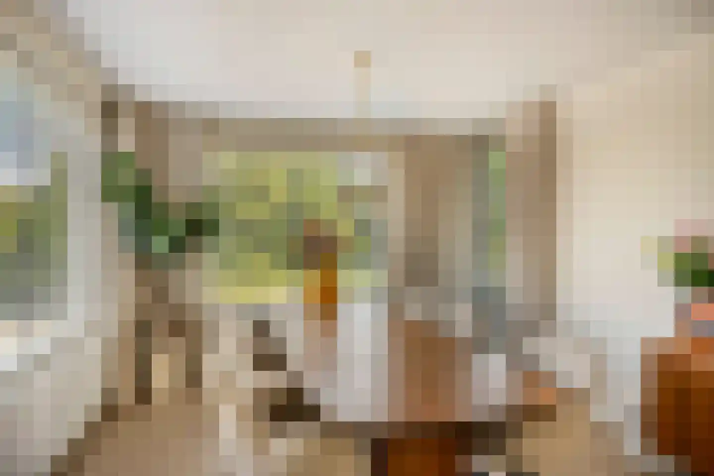 Arnhemsestraatweg 51 Velp thumbnail 13
