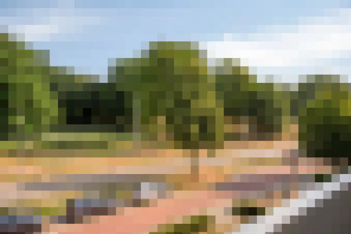 Arnhemsestraatweg 51 Velp thumbnail 22