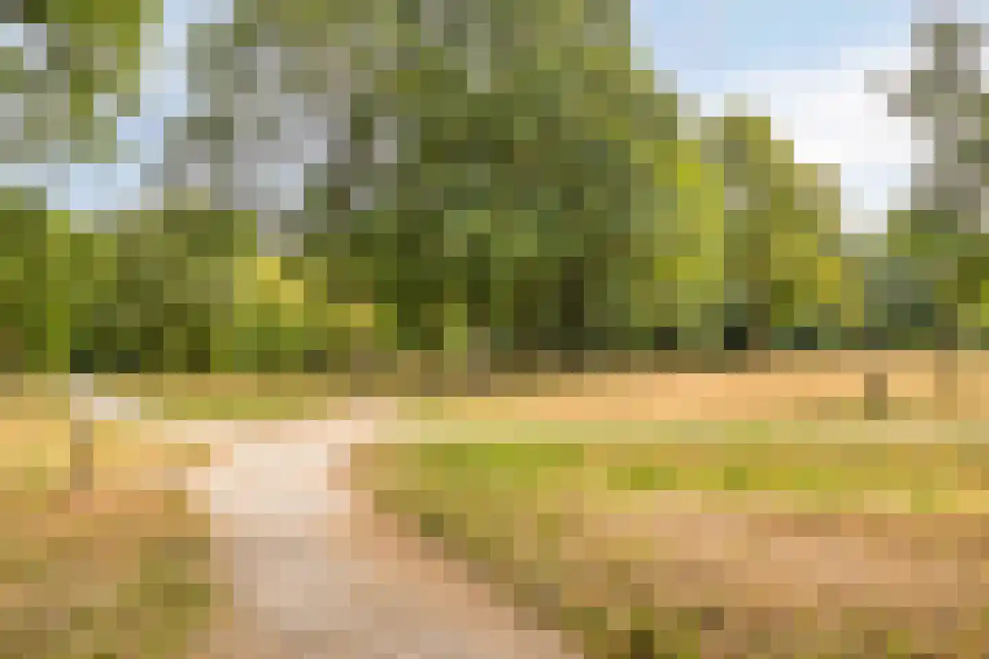 Arnhemsestraatweg 51 Velp thumbnail 36