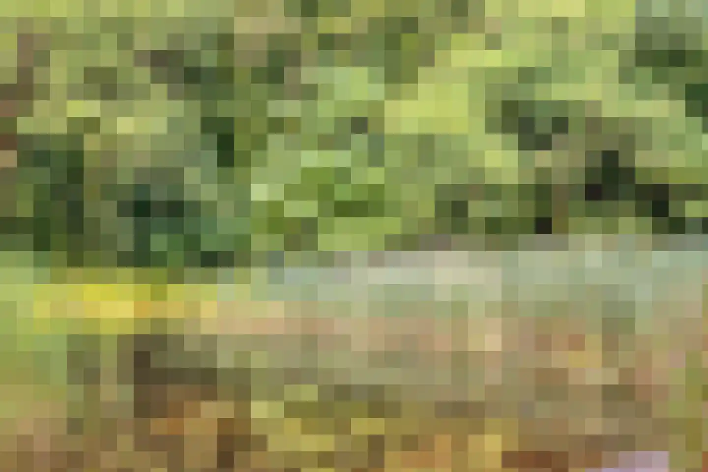 Arnhemsestraatweg 51 Velp thumbnail 37