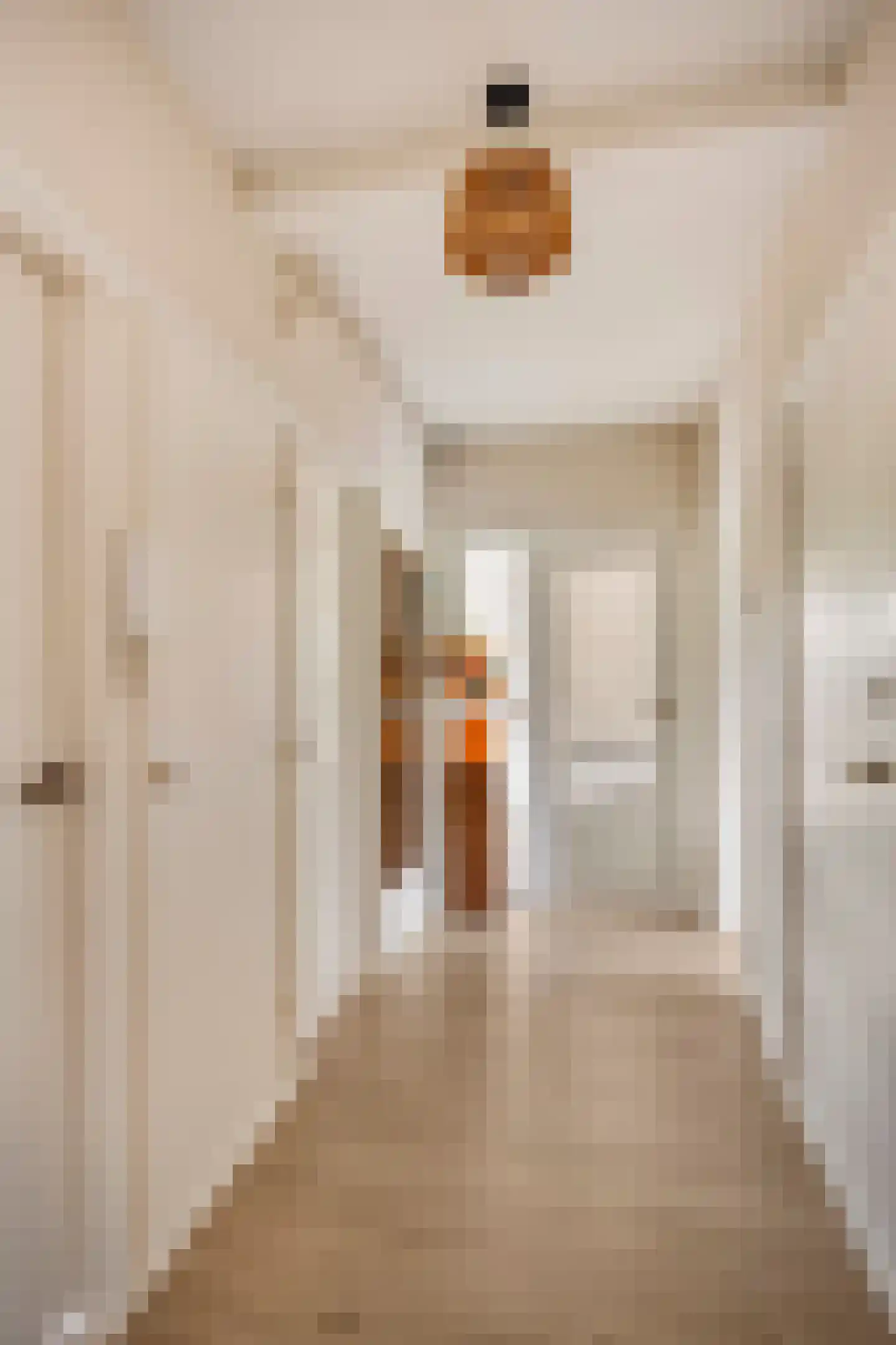 Arnhemsestraatweg 51 Velp thumbnail 6