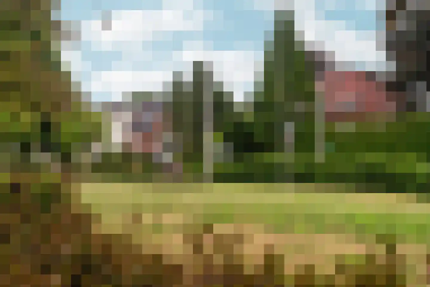 Arnhemsestraatweg 54 Velp thumbnail 13