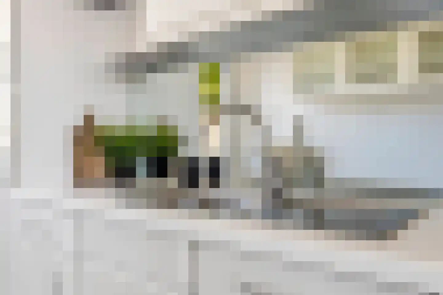 Arnhemsestraatweg 54 Velp thumbnail 17