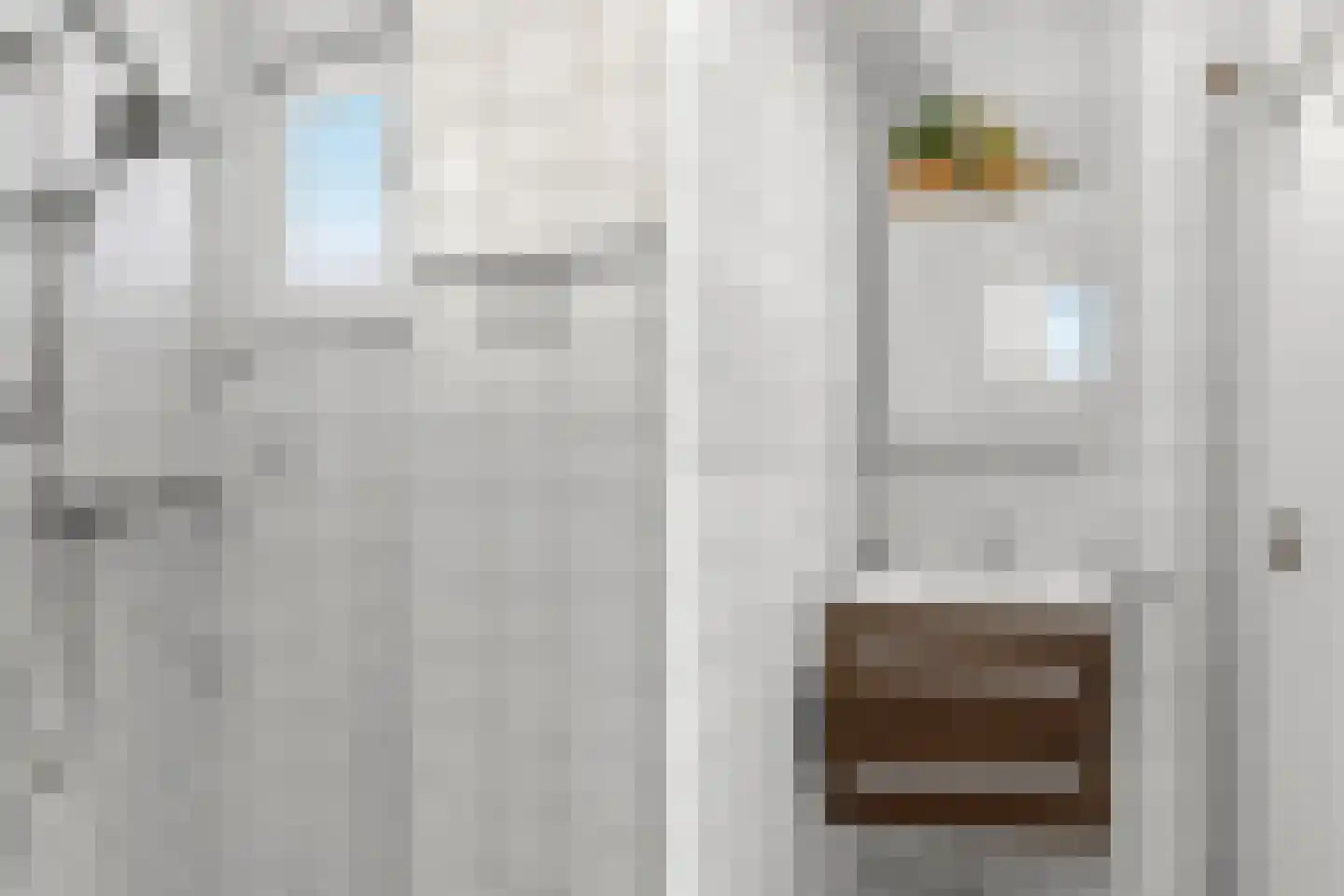 Arnhemsestraatweg 54 Velp thumbnail 20