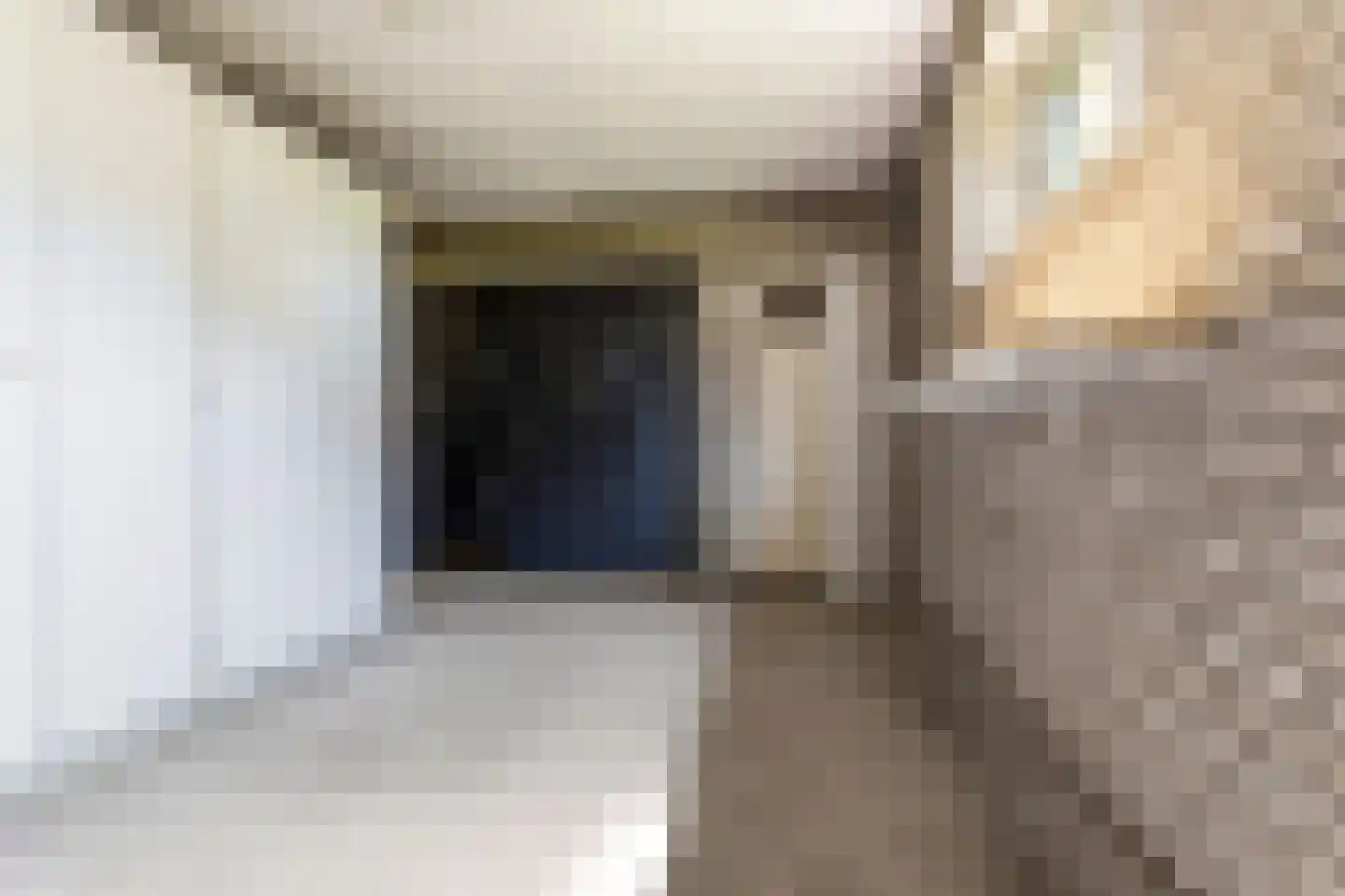 Arnhemsestraatweg 54 Velp thumbnail 27