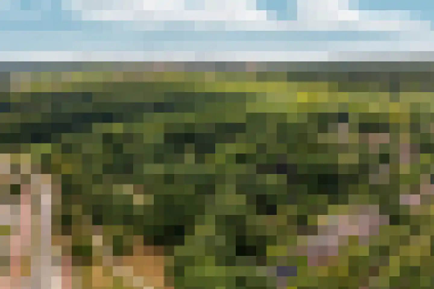 Arnhemsestraatweg 54 Velp thumbnail 31