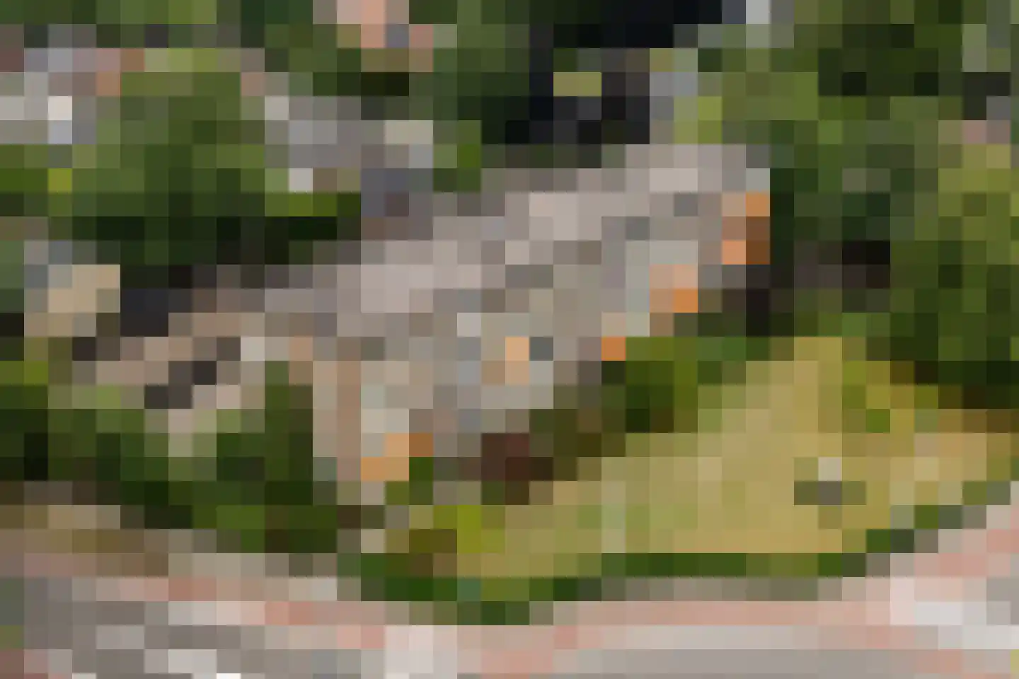 Arnhemsestraatweg 54 Velp thumbnail 6