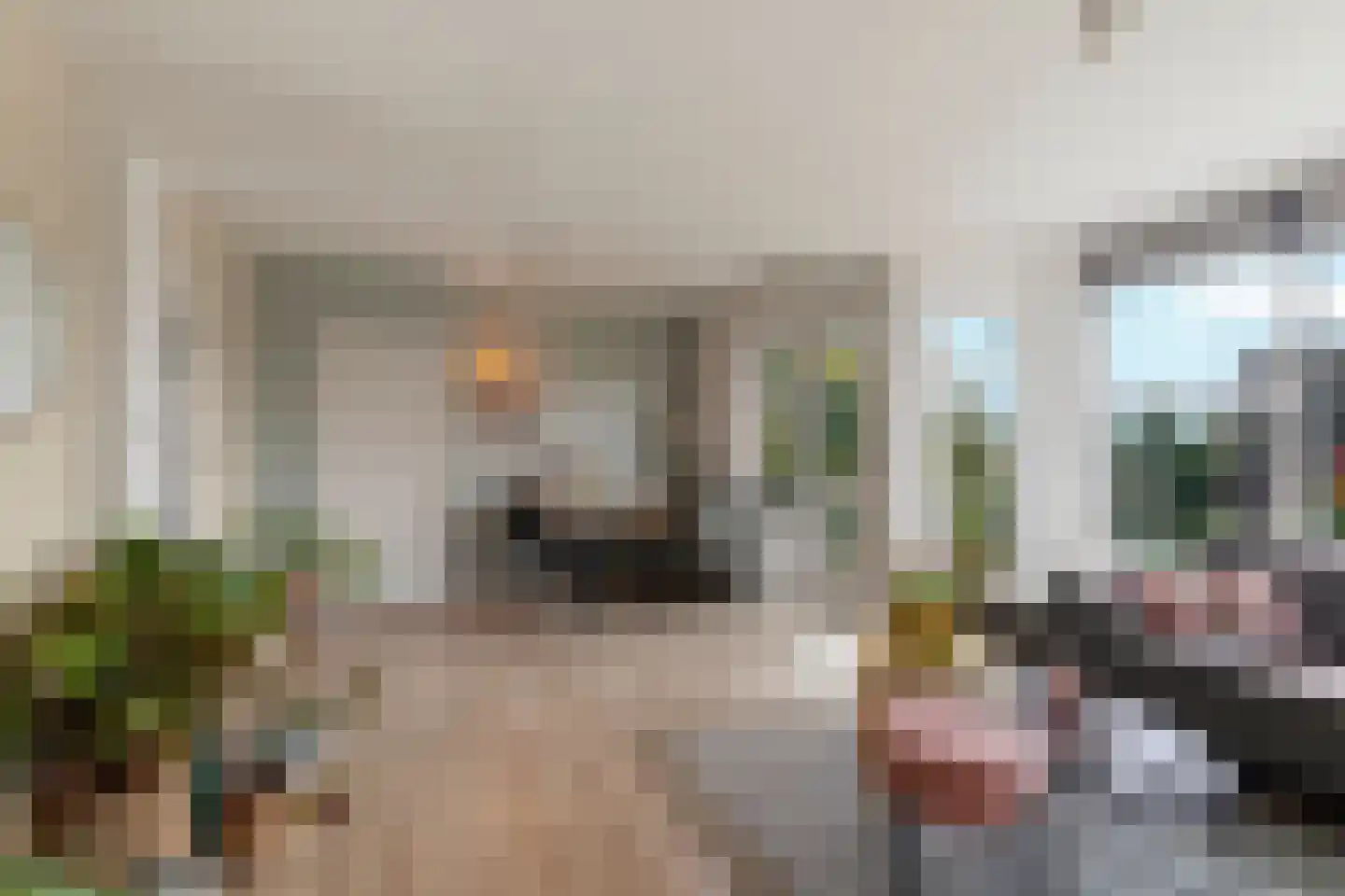 Arnhemsestraatweg 56 Velp thumbnail 12