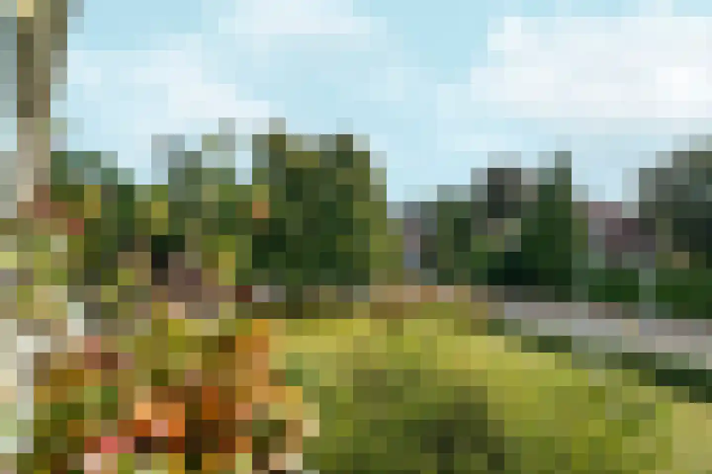 Arnhemsestraatweg 56 Velp thumbnail 16