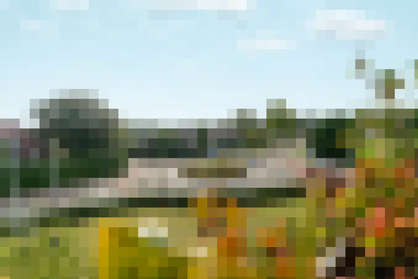Arnhemsestraatweg 56 Velp thumbnail 17
