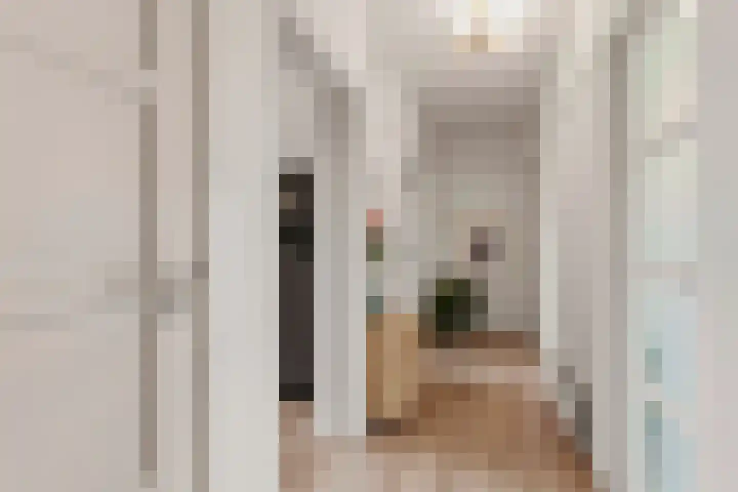 Arnhemsestraatweg 56 Velp thumbnail 19