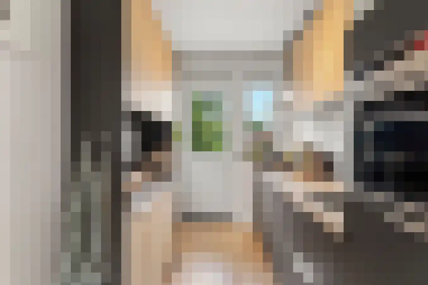 Arnhemsestraatweg 56 Velp thumbnail 21