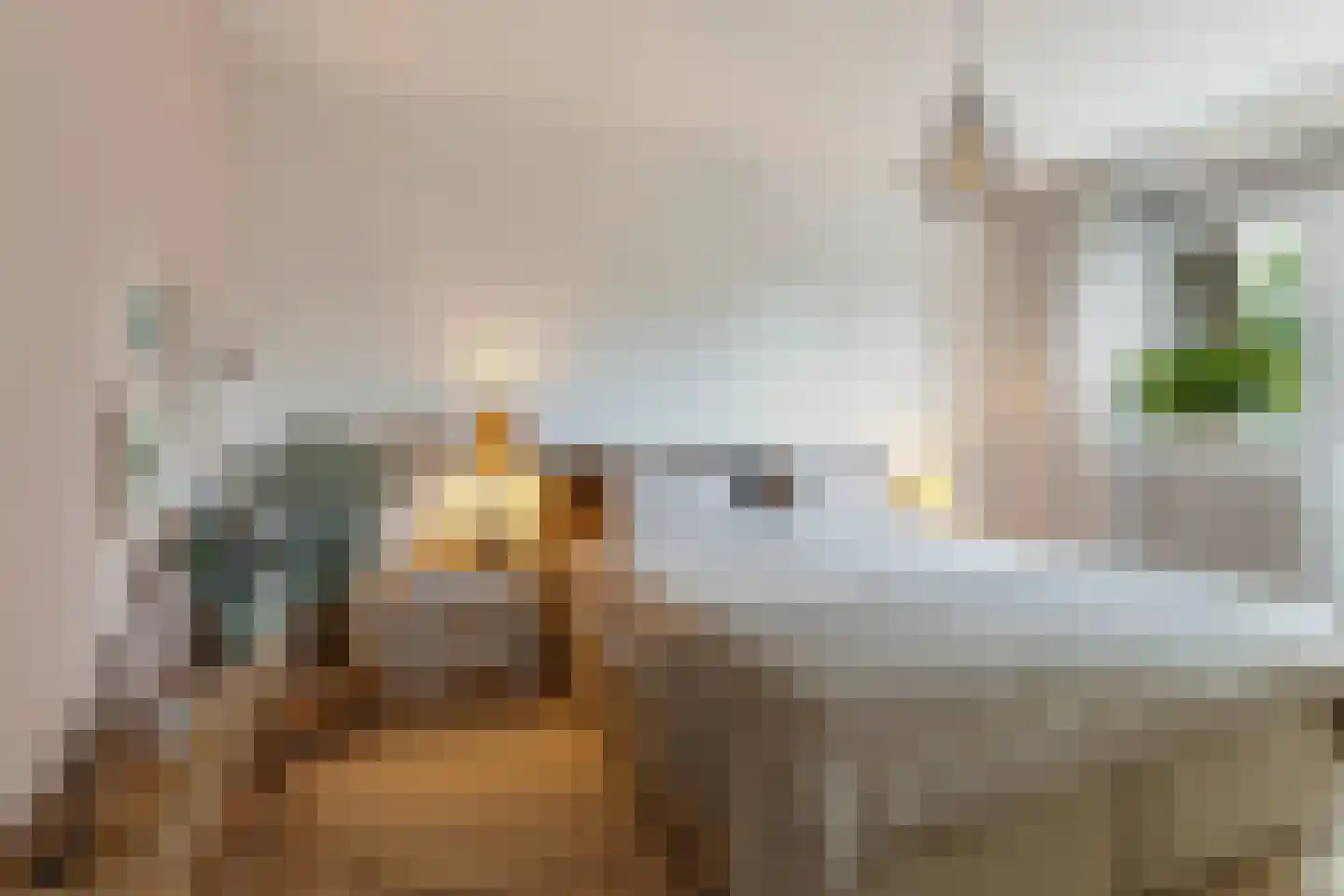 Arnhemsestraatweg 56 Velp thumbnail 24