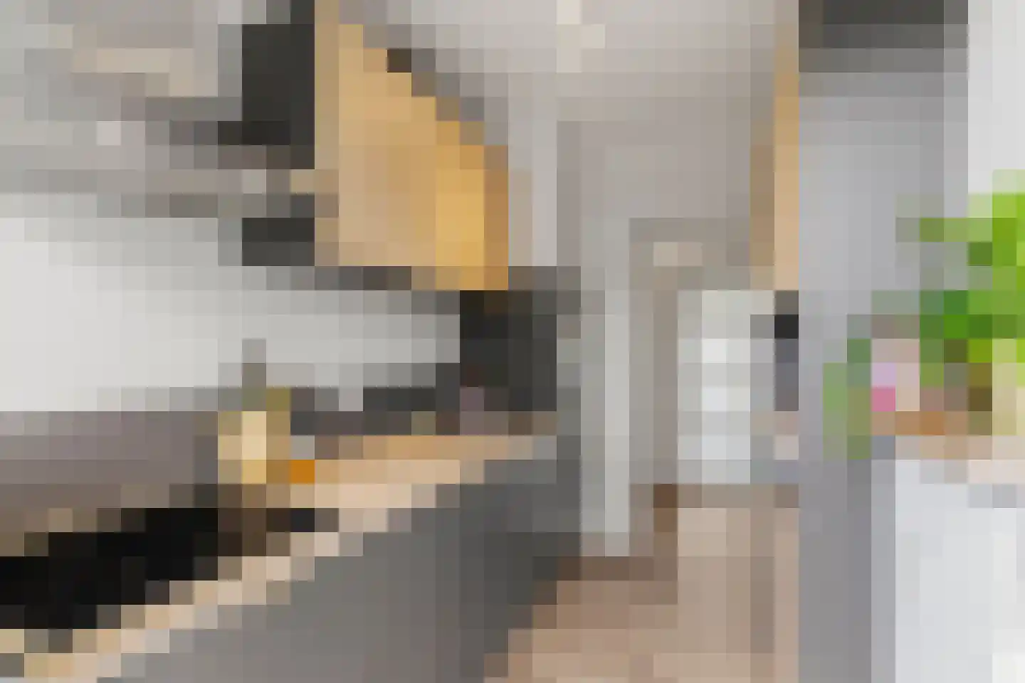 Arnhemsestraatweg 56 Velp thumbnail 4