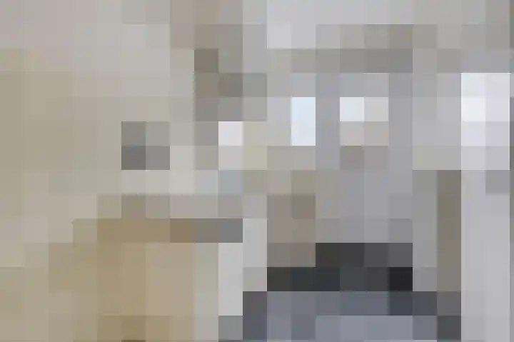Arnhemsestraatweg 66 Velp thumbnail 10