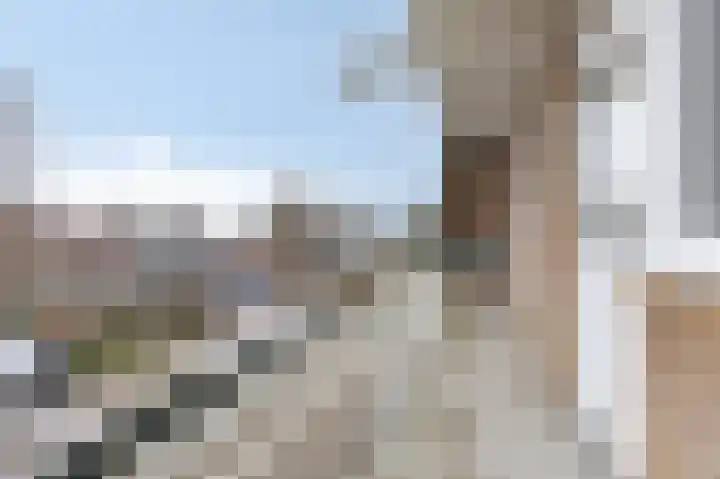Arnhemsestraatweg 66 Velp thumbnail 18