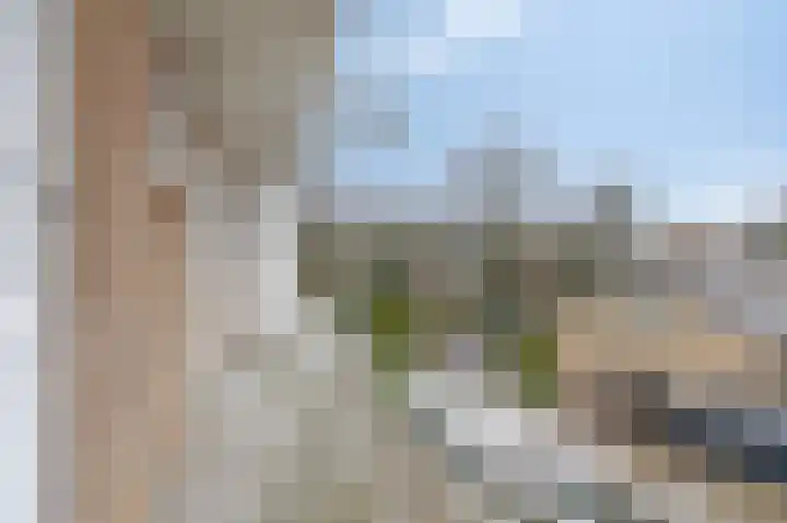 Arnhemsestraatweg 66 Velp thumbnail 19