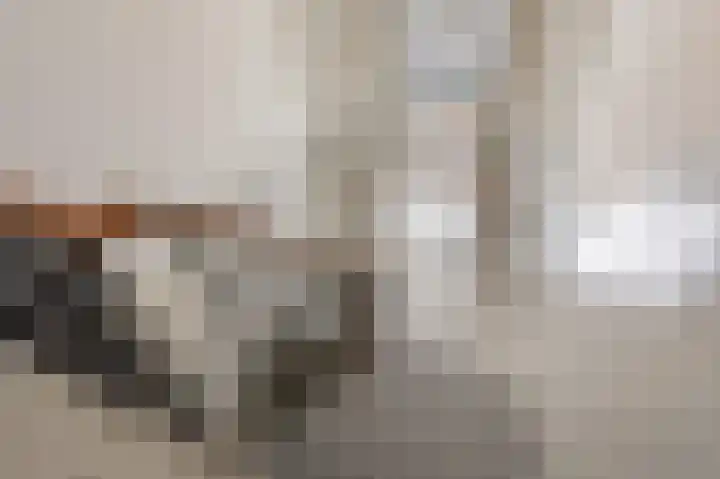 Arnhemsestraatweg 66 Velp thumbnail 22
