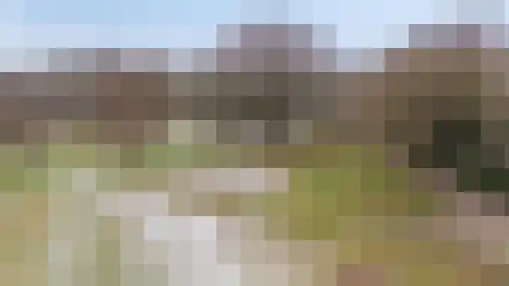 Arnhemsestraatweg 66 Velp thumbnail 25