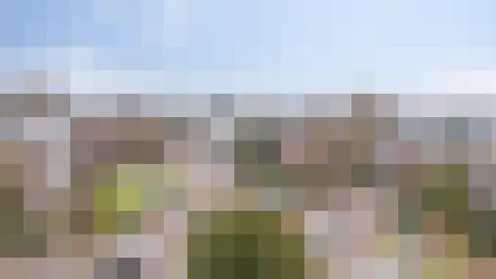 Arnhemsestraatweg 66 Velp thumbnail 26