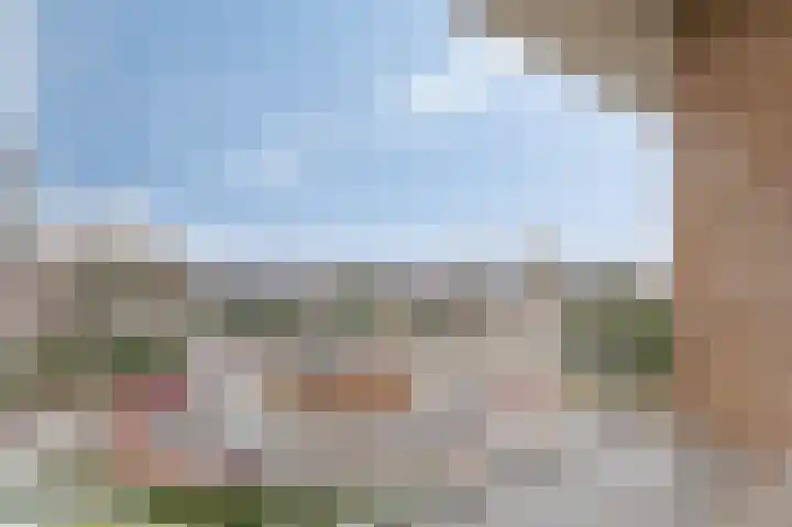 Arnhemsestraatweg 66 Velp thumbnail 9