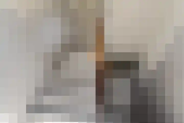 Arnhemsestraatweg 74 Velp thumbnail 13