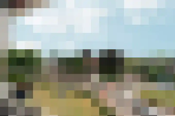 Arnhemsestraatweg 74 Velp thumbnail 23