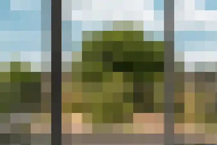 Arnhemsestraatweg 74 Velp thumbnail 31