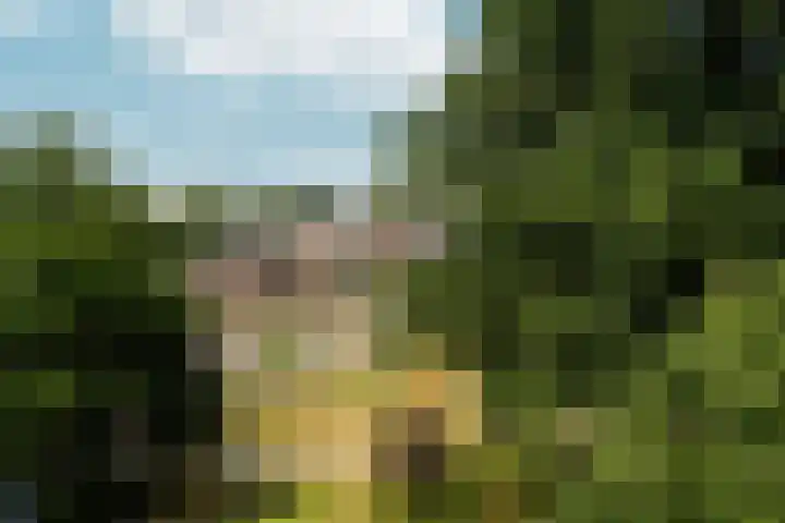 Arnhemsestraatweg 74 Velp thumbnail 33