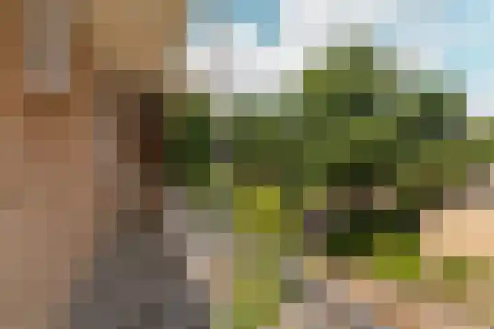 Arnhemsestraatweg 74 Velp thumbnail 39