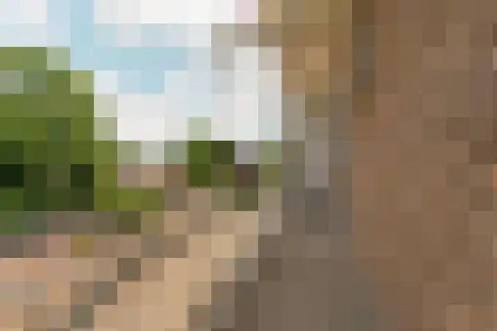 Arnhemsestraatweg 74 Velp thumbnail 40