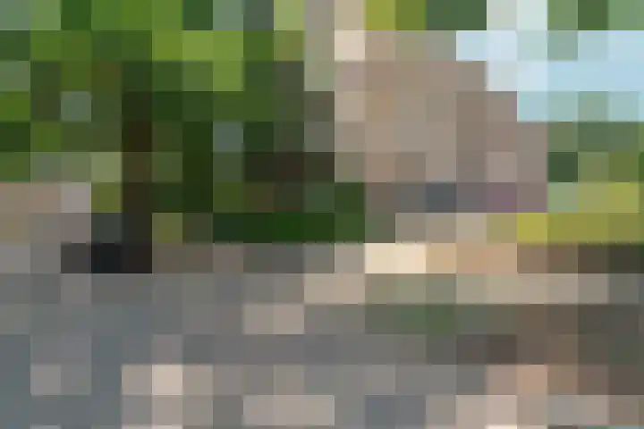Arnhemsestraatweg 74 Velp thumbnail 41
