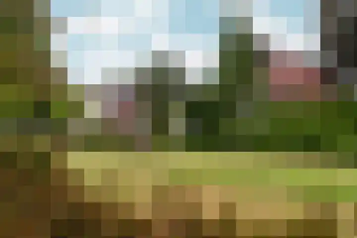 Arnhemsestraatweg 74 Velp thumbnail 43