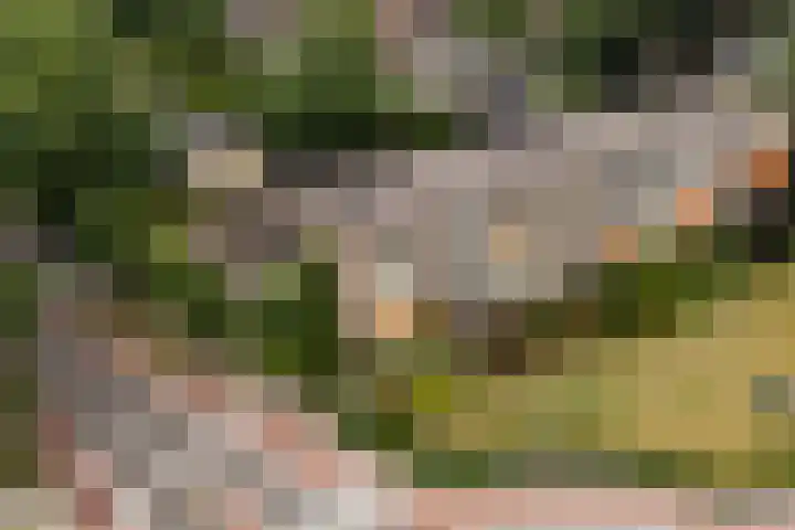 Arnhemsestraatweg 74 Velp thumbnail 44