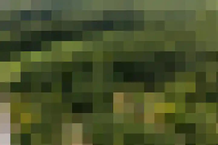 Arnhemsestraatweg 74 Velp thumbnail 45