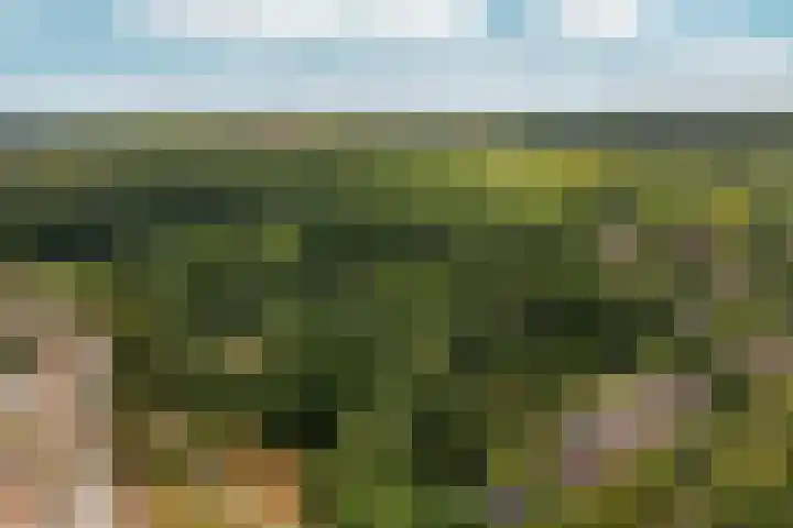 Arnhemsestraatweg 74 Velp thumbnail 46