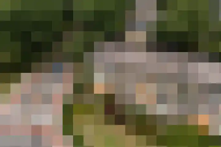 Arnhemsestraatweg 74 Velp thumbnail 9