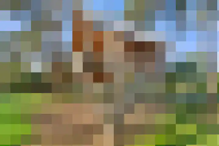 Arnhemseweg 100 R 100 Otterlo thumbnail 24