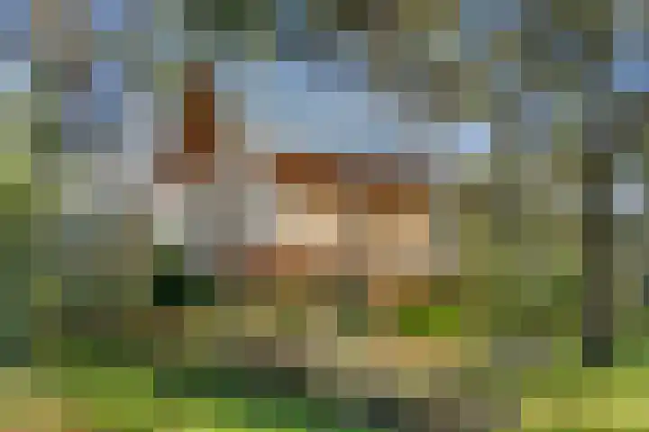 Arnhemseweg 100 R 100 Otterlo thumbnail 27