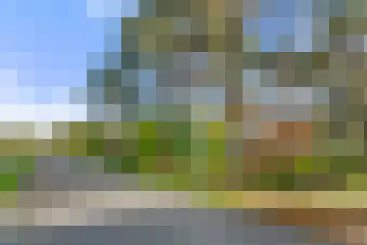 Arnhemseweg 100 R 100 Otterlo thumbnail 28