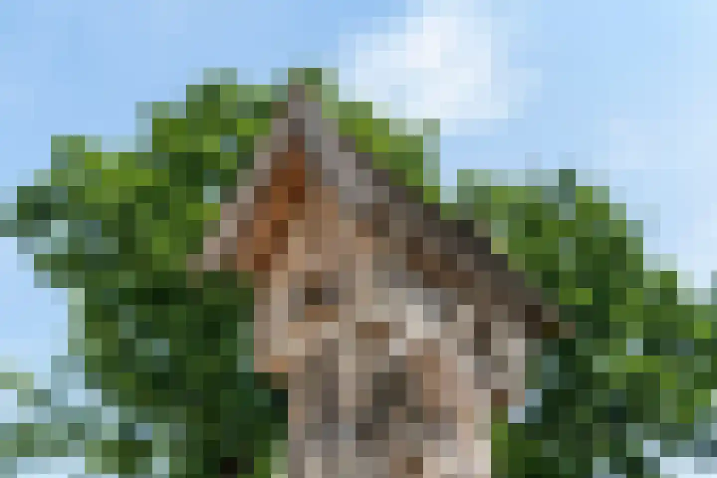 Arnhemseweg 100 R 514 Otterlo thumbnail 24