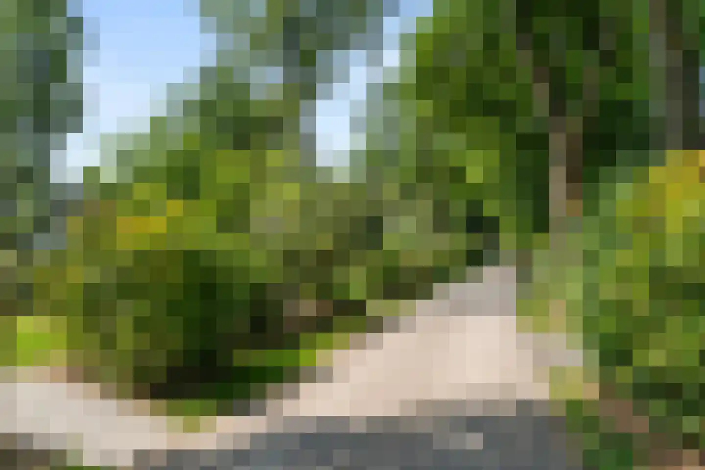Arnhemseweg 100 R 514 Otterlo thumbnail 30