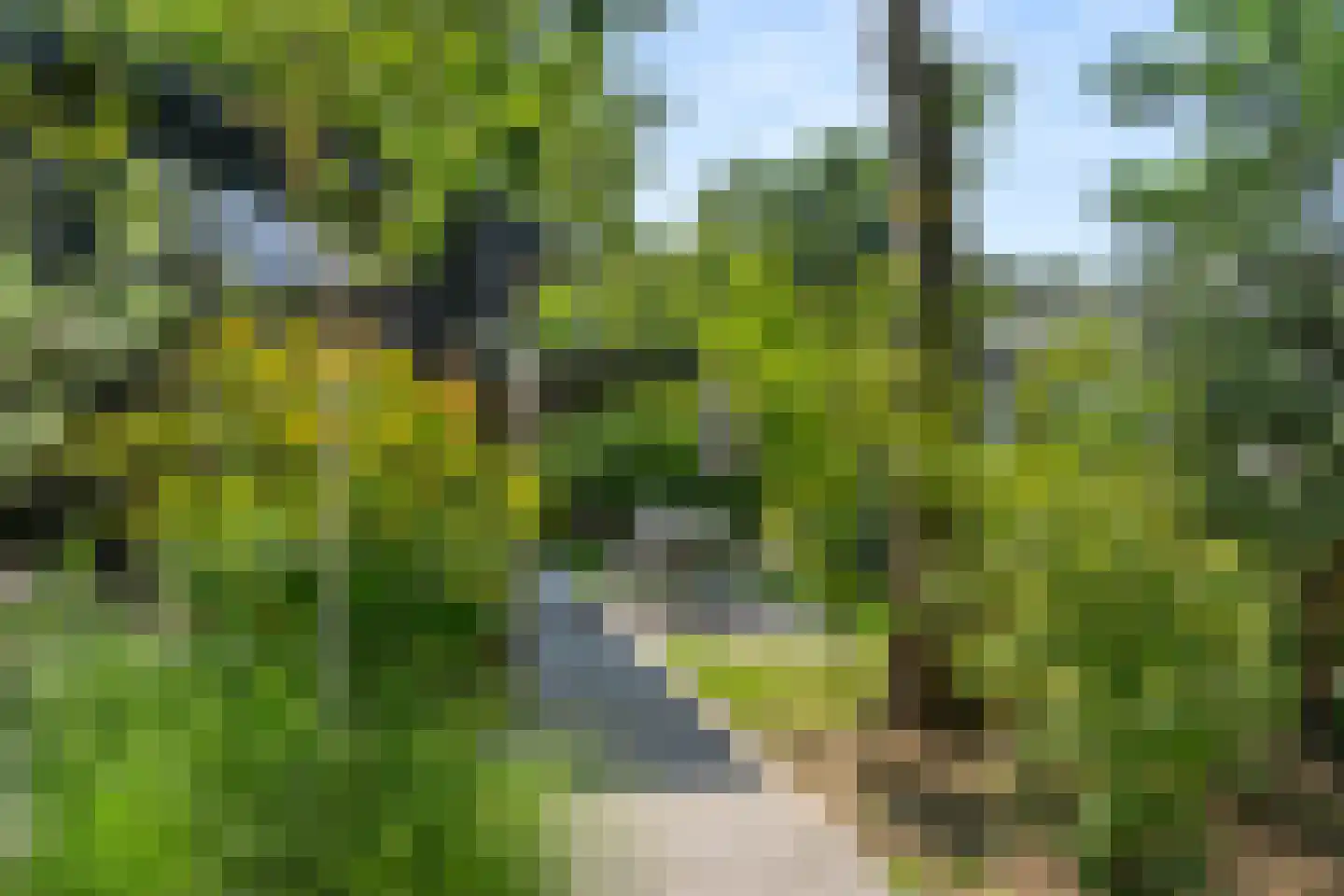 Arnhemseweg 100 R 514 Otterlo thumbnail 36