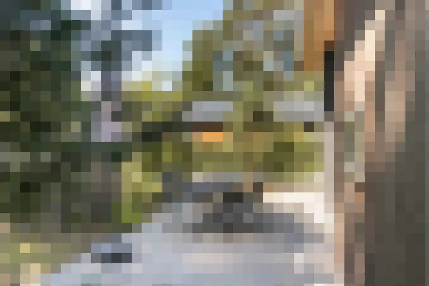 Arnhemseweg 100 R 519 Otterlo thumbnail 7
