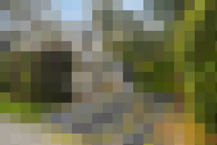 Arnhemseweg 100 R 541 Otterlo thumbnail 22