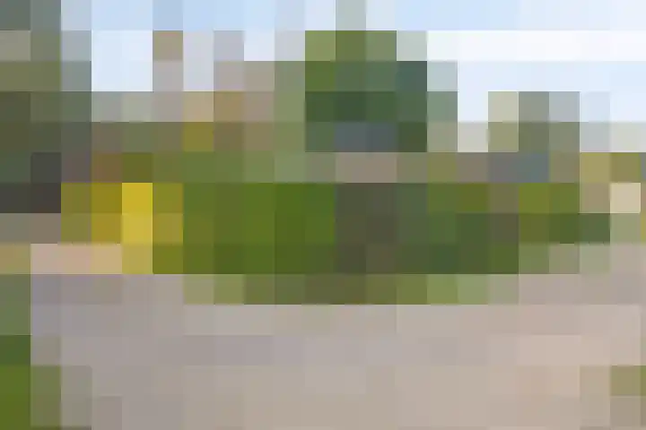 Arnhemseweg 100 R 541 Otterlo thumbnail 24
