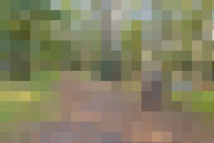 Arnhemseweg 100 R 541 Otterlo thumbnail 26