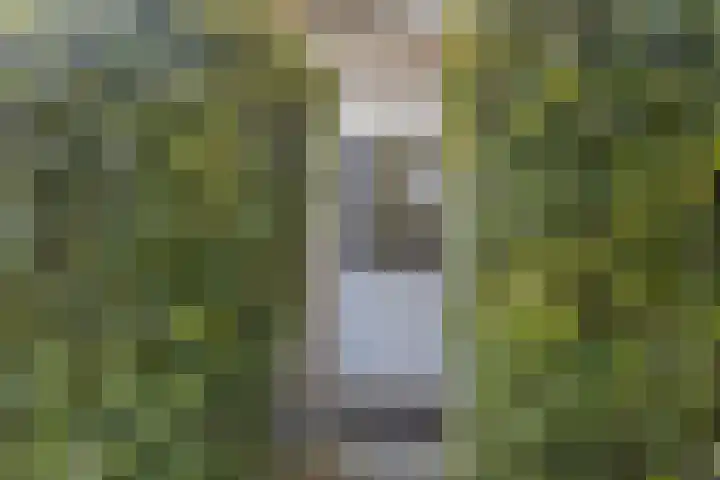 Arnhemseweg 100 R 541 Otterlo foto 3